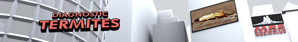 attestation termites