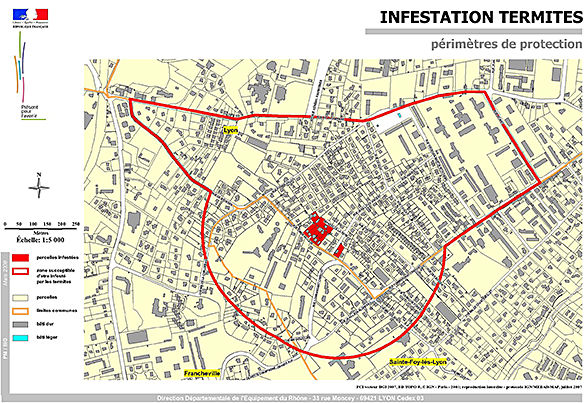 diagnostic termite lyon